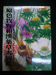 原色牧野和漢薬草大図鑑(三橋博 監修) / 古本、中古本、古書籍の通販は 