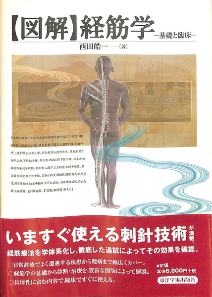 図解」経筋学 基礎と臨床