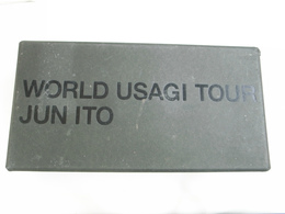 WORLD USAGI TOUR