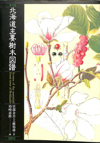 ●大型本 覆刻 北海道主要樹木図譜 宮部金吾・工藤祐舜著 須崎忠助画● 普及版 北海道主要樹木図譜(宮部金吾 工藤祐舜 須崎忠助) / 古本、中古