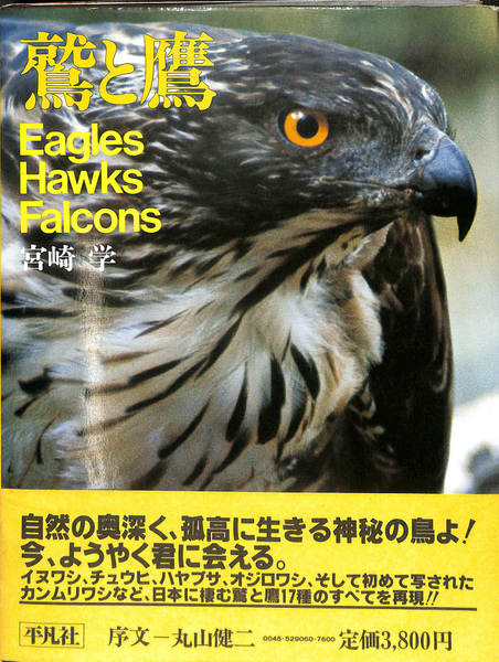 鷲と鷹 Eagles Hawks Falcons(宮崎学) / 古本、中古本、古書籍の通販は