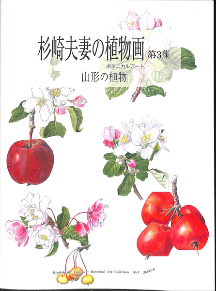 杉崎夫妻の植物画 第３集 杉崎紀世彦 杉崎文子 古本 中古本 古書籍の通販は 日本の古本屋 日本の古本屋