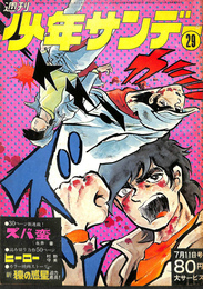 週刊少年サンデー　２９　１９７１年７月１１日号　カラー映画ストーリー　新猿の惑星