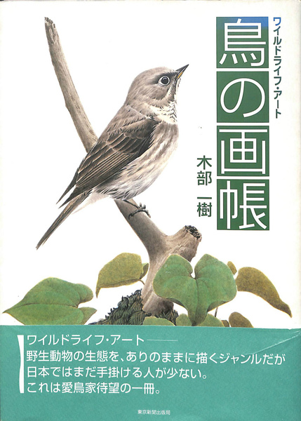 野鳥画家「木部一樹」アクリル画 うそ 野鳥画家「木部一樹」アクリル画うそ