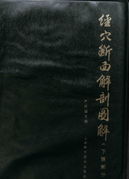経穴断面解剖図解（下肢部分）　（中文）