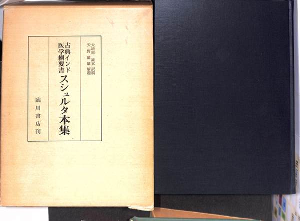 探偵小説あるいはモデルニテ 叢書・ウニベルシタス605(J