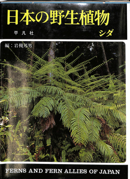 日本の野生植物 シダ