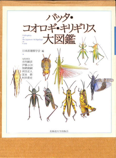 バッタ・コオロギ・キリギリス大図鑑(日本直翅類学会 編) / 古本、中古