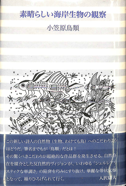 素晴らしい海岸生物の観察