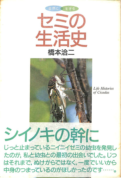 セミの生活史(橋本 洽二) / 古本、中古本、古書籍の通販は「日本の 