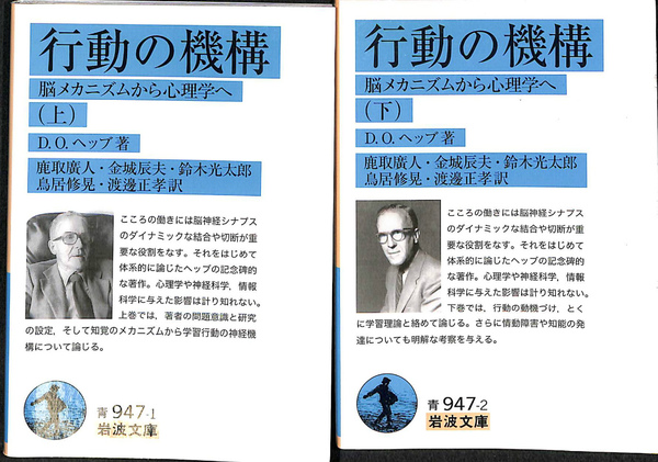 行動の機構 脳メカニズムから心理学へ 上下巻揃 岩波文庫青(D.O.