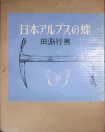 日本アルプスの蝶