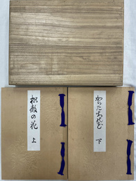 枳殻の花　上下２冊揃