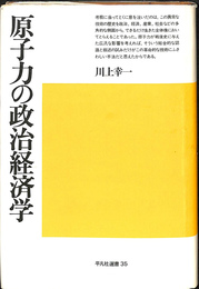 原子力の政治経済学　平凡社選書３５