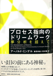 プロセス指向のドリームワーク　夢分析を超えて