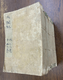 セーリス日本渡航記　ヴィルマン日本滞在記　新異国叢書６
