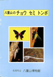 八重山のチョウ　セミ　トンボ