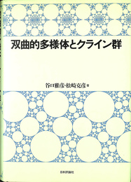 双曲的多様体とクライン群