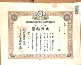 有限責任同栄信用組合出資証券