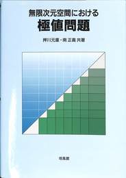 無限次元空間における極値問題