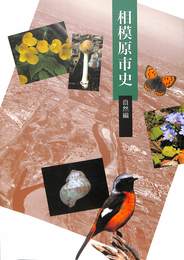 相模原市史　自然編