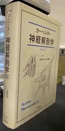 神経解剖学