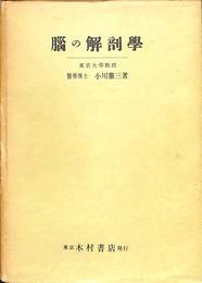 脳の解剖学