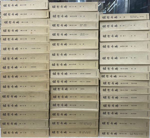 露伴全集 岩波書店 1〜41巻➕別巻上・下➕附録　計44冊 露伴全集 全41巻+別巻上下巻+附録 計44冊中 23-