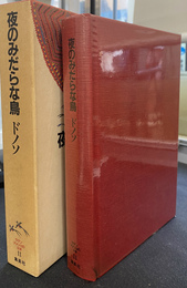 夜のみだらな鳥