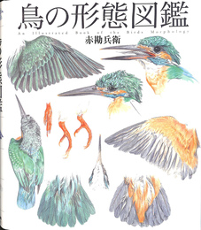鳥の形態図鑑