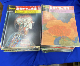 週刊朝日百科　動物たちの地球　全１４４冊揃