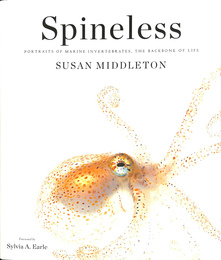海の美しい無脊椎生物（英）Spineless Portraits of Marine Invertebrates, the Backbone of Life