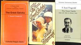 偉大なギャツビー（改訂版）　原著と注釈書の２巻揃　英潮社ペンギンブックス　The Great Gatsby