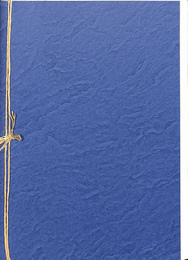 今福龍太先生インタヴュー