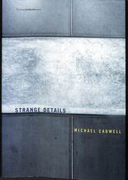 奇妙なディティール　建築を記述する（英）　STRANGE DETAILS Writing Architecture series