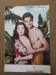 映画パンフ　南海の劫火