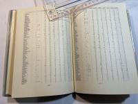 コンピューターの見た現代英語―ボキャブラリーの科学