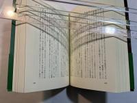 大いなる秘密　 下巻：世界超黒幕