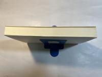 大きな喜び 　 谷内爽牧師説教集