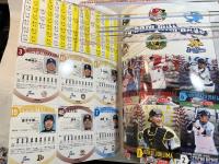 2010日本生命セ・パ交流戦公式プログラム