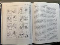 てんかん症候群 : 乳幼児・小児・青年期のてんかん学　　付録DVD付
