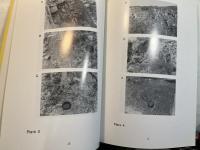 北東アジアのテクトニクス : 日本と中国の古地磁気学的比較にもとづく北東アジアのテクトニクスの研究予備報告書