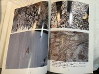 日本海重油流出事故に伴う汚染環境の緊急調査と復元に関する研究―現状報告―；平成8年度特定研究経費実施経過報告書　　1997年4月10日