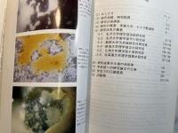 日本海重油流出事故に伴う汚染環境の緊急調査と復元に関する研究―現状報告―；平成8年度特定研究経費実施経過報告書　　1997年4月10日