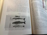（英文）Animal Societies：Individuals, Interactions and Organisation