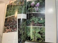 桐生市植物誌　(桐生地誌　第1集)