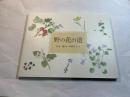 野の花の道