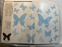 臺灣區蝶類大圖鑑　　中國動物大圖鑑集　昆虫部1