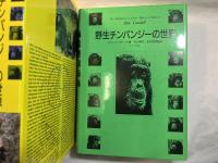 野生チンパンジーの世界