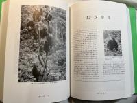 野生チンパンジーの世界